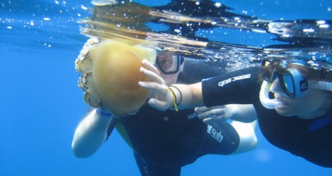 snorkeling